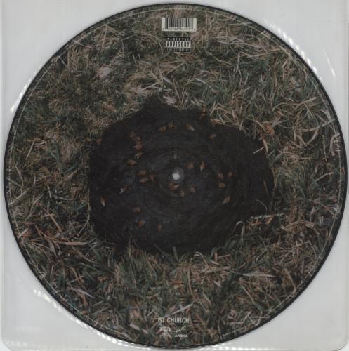 Outkast Roses 12" vinyl picture disc (12 inch picture record) UK OUT2PRO288589