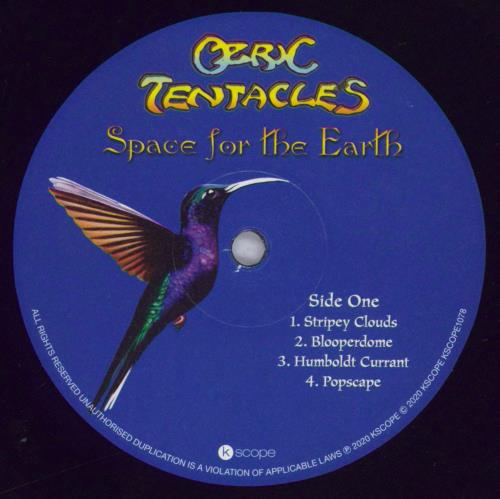 Ozric Tentacles Space For The Earth - 180gm vinyl LP album (LP record) UK OZRLPSP832013