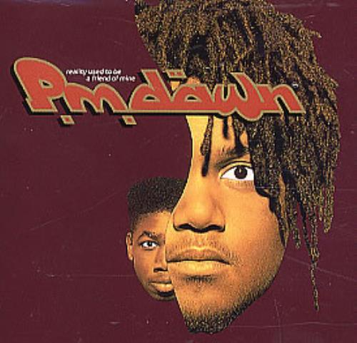 P. M. Dawn Reality Used To Be A Friend Of Mine CD single (CD5 / 5") US PMDC5RE297374