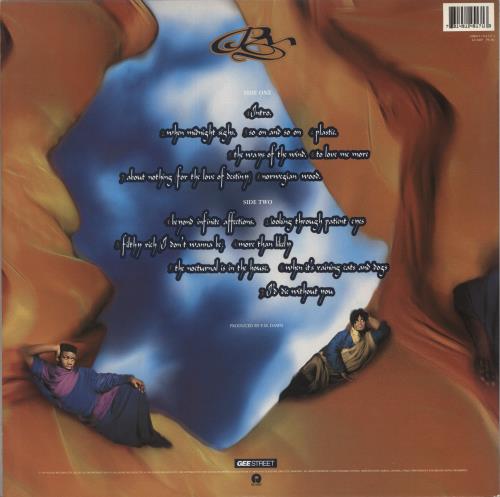 P. M. Dawn The Bliss Album...? (Vibration Of Love And Anger And The Ponderance Of Life And Existence) vinyl LP album (LP record) UK PMDLPTH875939