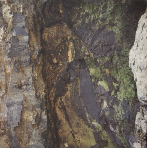 Pacific Shrift 12" vinyl single (12 inch record / Maxi-single) UK PCF12SH129493