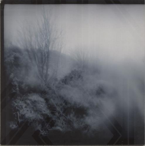 Painted Wolves Painted Wolves 12" vinyl single (12 inch record / Maxi-single) Swedish QCJ12PA690567