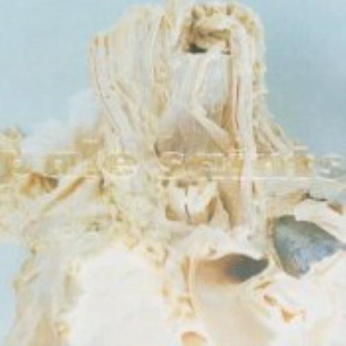 Pale Saints In Ribbons CD album (CDLP) UK PALCDIN236027