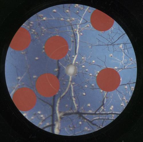 Panda Bear Surfers Hymn 7" vinyl single (7 inch record / 45) German P0O07SU885978