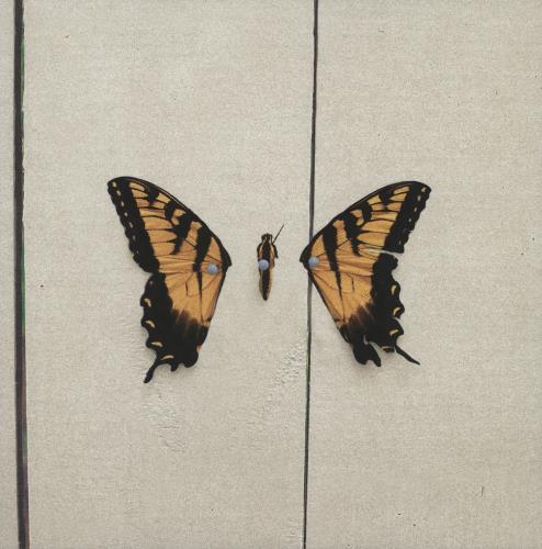 Paramore Brand New Eyes vinyl LP album (LP record) UK OR8LPBR752374
