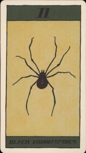 Parquet Courts Black Widow Spider + Tarot Card 7" vinyl single (7 inch record / 45) Japanese QBT07BL863849