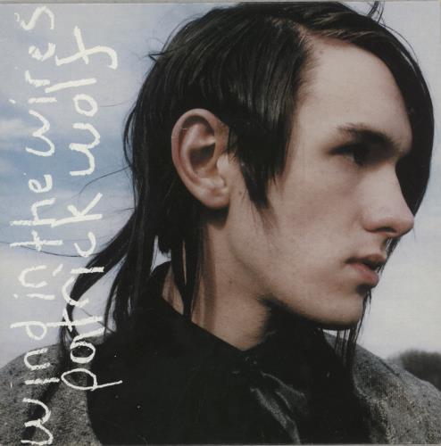 Patrick Wolf Wind In The Wires 7" vinyl single (7 inch record / 45) German PWF07WI878881