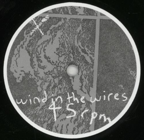 Patrick Wolf Wind In The Wires 7" vinyl single (7 inch record / 45) German PWF07WI878881