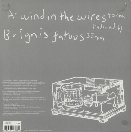 Patrick Wolf Wind In The Wires 7" vinyl single (7 inch record / 45) German PWF07WI878881