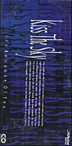 Paul Hardcastle It's Because Of You 3" CD single (CD3) Japanese PHAC3IT153495