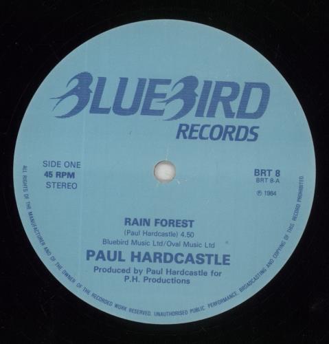 Paul Hardcastle Rainforest 12" vinyl single (12 inch record / Maxi-single) UK PHA12RA131439