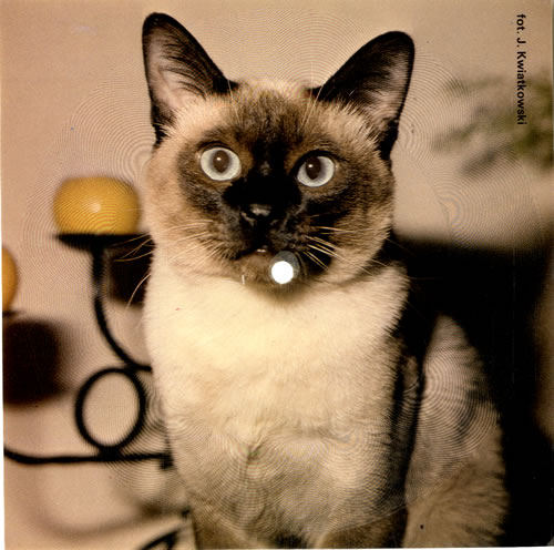 Paul McCartney and Wings Coming Up - Flexi 7" vinyl picture disc (7 inch picture disc single) Polish MCC7PCO71663