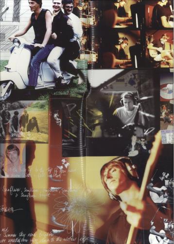 Paul Weller Wild Wood + Complete vinyl LP album (LP record) UK WELLPWI63264