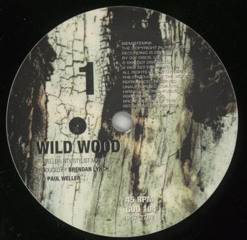 Paul Weller Wild Wood + Sleeve - EX 7" vinyl single (7 inch record / 45) UK WEL07WI672669