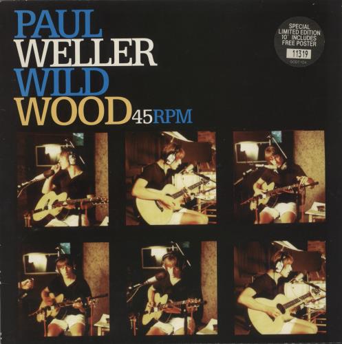 Paul Weller Wild Wood - EX 10" vinyl single (10 inch record) UK WEL10WI878970