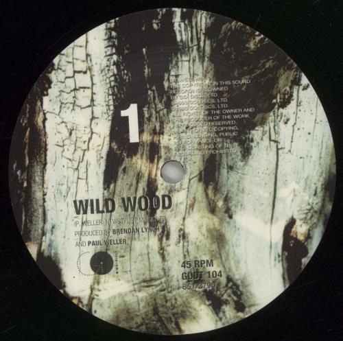 Paul Weller Wild Wood - EX 10" vinyl single (10 inch record) UK WEL10WI878970