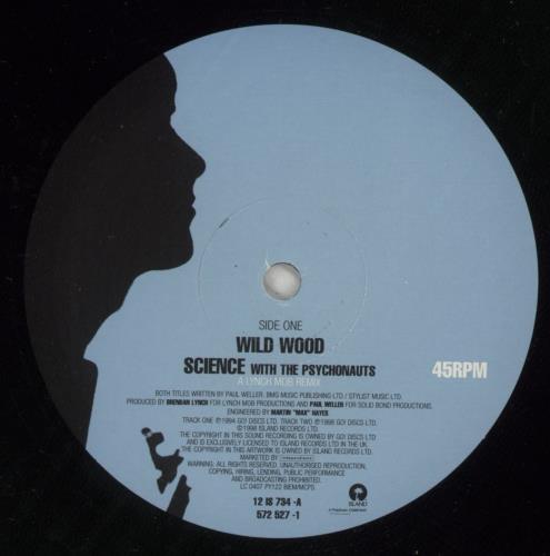 Paul Weller Wild Wood - EX 12" vinyl single (12 inch record / Maxi-single) UK WEL12WI879071