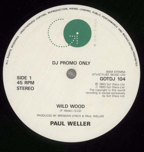 Paul Weller Wild Wood 10" vinyl single (10 inch record) UK WEL10WI21883