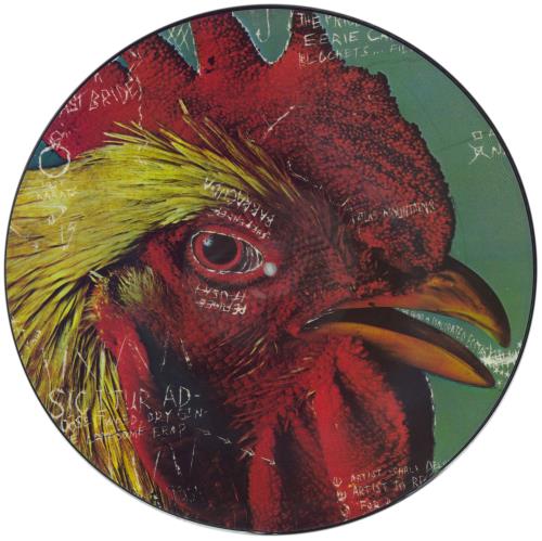 Pavement Watery, Domestic 12" vinyl picture disc (12 inch picture record) UK PMT2PWA869606
