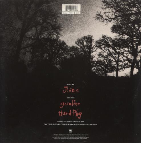 Paw Jessie 12" vinyl single (12 inch record / Maxi-single) UK PAW12JE868371