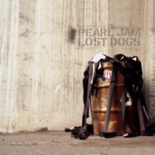 Pearl Jam Lost Dogs 2 CD album set (Double CD) UK PJA2CLO263952