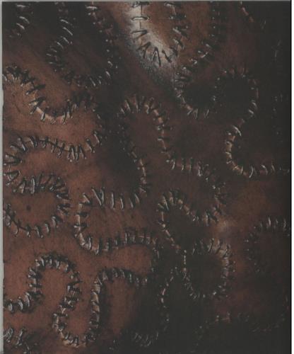 Pearl Jam Pearl Jam - Autographed 2-LP vinyl record set (Double LP Album) US PJA2LPE646514