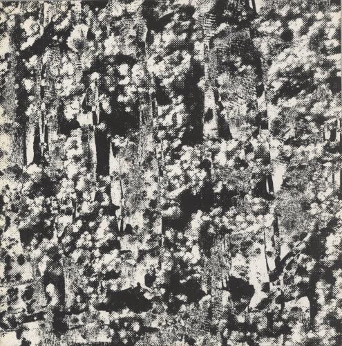 Perspex Flesh Ordered Image 12" vinyl single (12 inch record / Maxi-single) UK 95R12OR880319