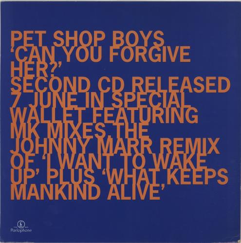 Pet Shop Boys Can You Forgive Her? - Promotional Displays display UK PSBDICA656486