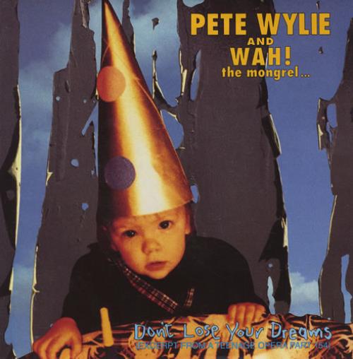 Pete Wylie Don't Lose Your Dreams 7" vinyl single (7 inch record / 45) UK PWY07DO182352
