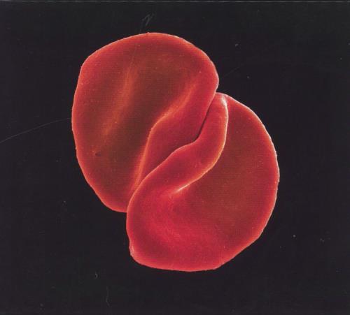 Peter Gabriel Scratch My Back 2 CD album set (Double CD) UK GAB2CSC750895