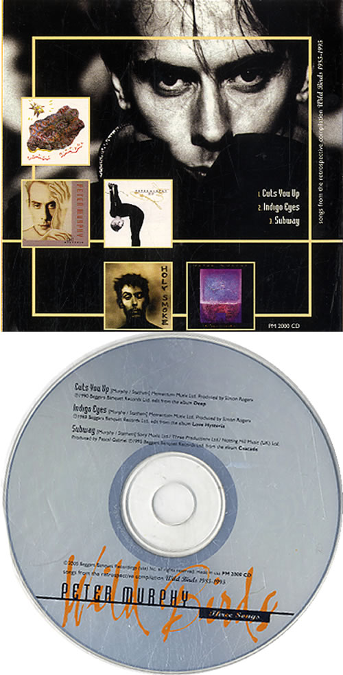 Peter Murphy Three Songs CD single (CD5 / 5") US PEMC5TH153566