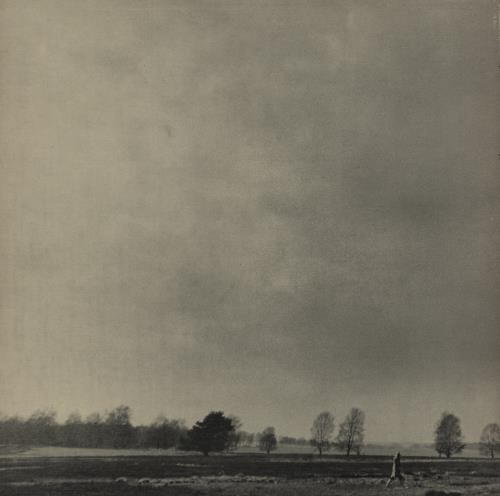 Phillip Goodhand-Tait Songfall - Promo Stickered vinyl LP album (LP record) UK PGHLPSO869562