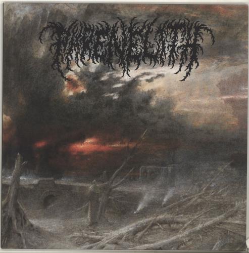 Phrenelith Desolate Endscape vinyl LP album (LP record) UK QWTLPDE702389