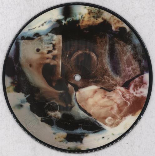 Pig Destroyer Pig Destroyer 7" vinyl picture disc (7 inch picture disc single) US P5G7PPI835349