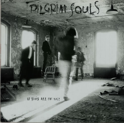 Pilgrim Souls Is This All Of Us ? vinyl LP album (LP record) UK P5MLPIS591901