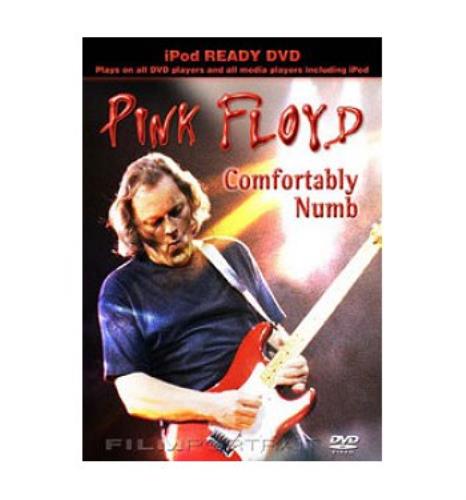 Pink Floyd Comfortably Numb DVD UK PINDDCO438742