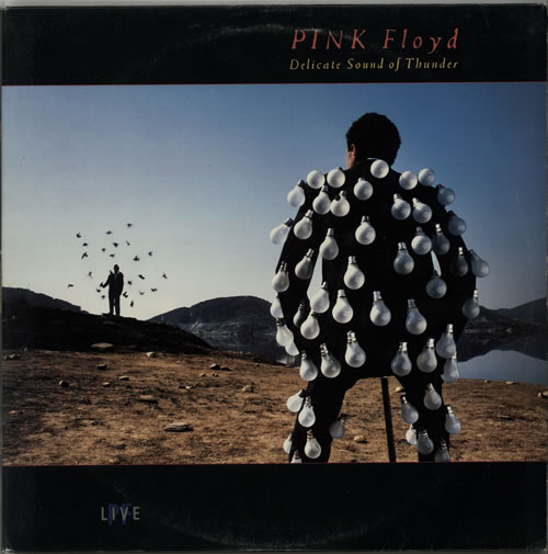 Pink Floyd Delicate Sound Of Thunder 2-LP vinyl record set (Double LP Album) South African PIN2LDE101774