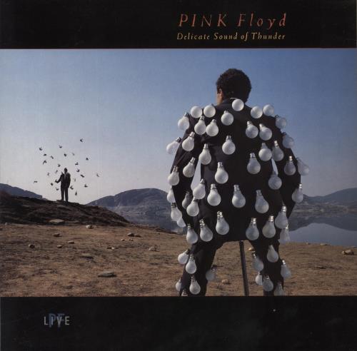 Pink Floyd Delicate Sound Of Thunder 2-LP vinyl record set (Double LP Album) UK PIN2LDE232785