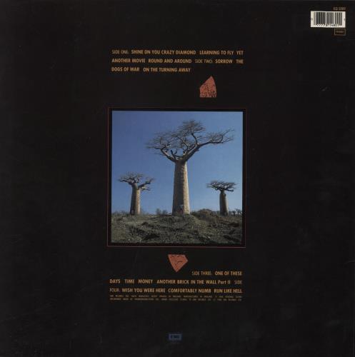 Pink Floyd Delicate Sound Of Thunder 2-LP vinyl record set (Double LP Album) UK PIN2LDE232785