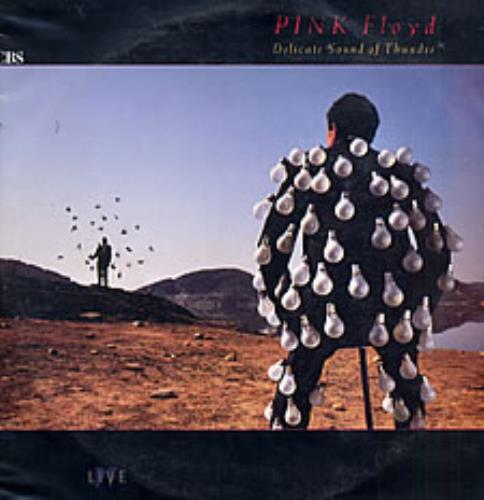 Pink Floyd Delicate Sound Of Thunder 2-LP vinyl record set (Double LP Album) Colombian PIN2LDE239727