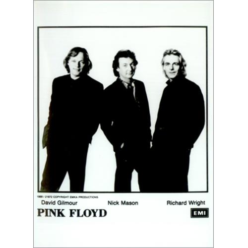 Pink Floyd Delicate Sound Of Thunder photograph Dutch PINPHDE414006