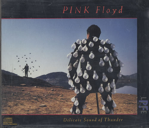 Pink Floyd Delicate Sound Of Thunder 2 CD album set (Double CD) US PIN2CDE442182