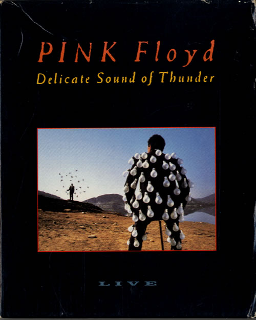 Pink Floyd Delicate Sound Of Thunder mini disc (MD) US PINMDDE477470