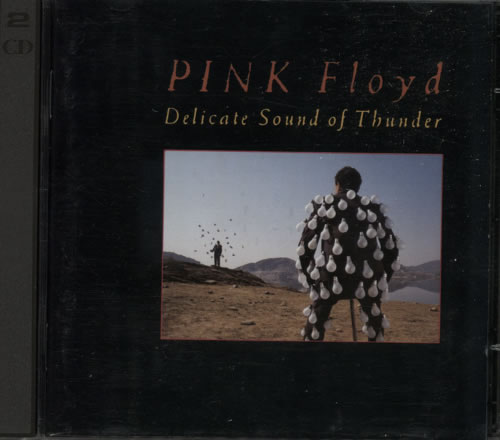 Pink Floyd Delicate Sound Of Thunder 2 CD album set (Double CD) UK PIN2CDE621356