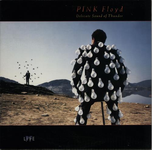 Pink Floyd Delicate Sound Of Thunder 2-LP vinyl record set (Double LP Album) US PIN2LDE646802