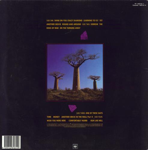 Pink Floyd Delicate Sound Of Thunder 2-LP vinyl record set (Double LP Album) Australian PIN2LDE829710