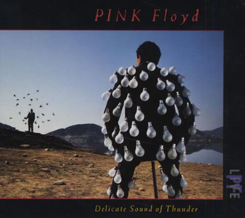 Pink Floyd Delicate Sound Of Thunder/Perfect Live CD album (CDLP) Japanese PINCDDE349131