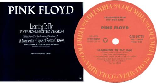 Pink Floyd Learning To Fly 12" vinyl single (12 inch record / Maxi-single) US PIN12LE68192