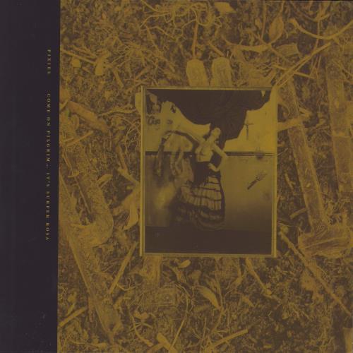 Pixies Come On Pilgrim... It's Surfer Rosa - 180gm Gold Vinyl 3-LP vinyl record set (Triple LP Album) US PIX3LCO777952