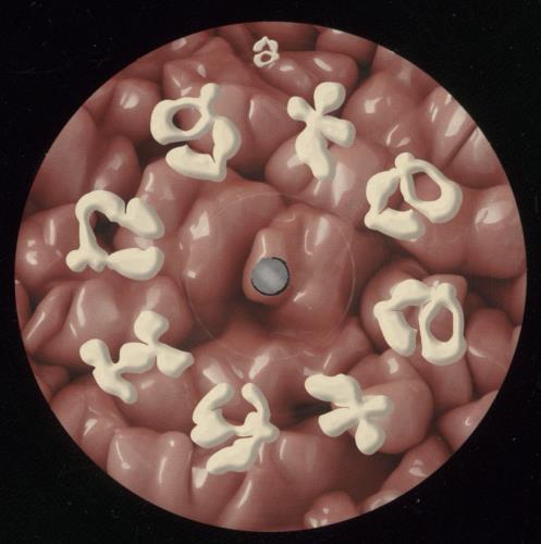 Porij Teething vinyl LP album (LP record) UK 984LPTE875507